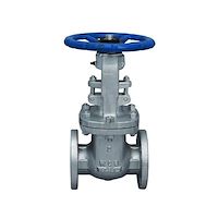 شیر کشویی فولادی اوریون کلاس 600